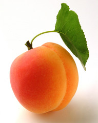 DAMASCO