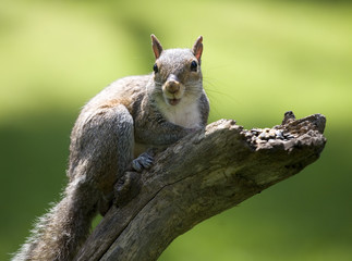 what are you looking at