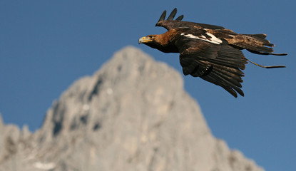 Flug über die Alpen