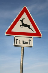 Wildwechsel