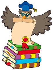 Obraz premium Wise owl with diploma and books
