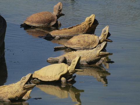 Tortugas en una fuente del Palacio de Versalles