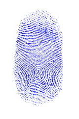 Fingerprint