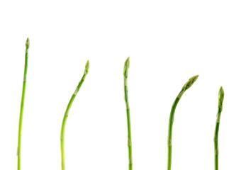 set a young asparagus