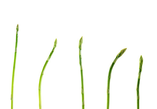 set a young asparagus