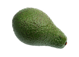 Single green avocado.