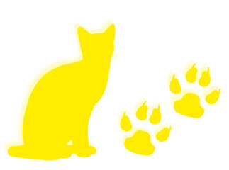 Gatto e impronte