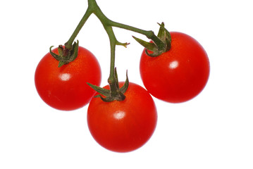 tomatoes