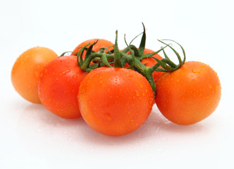 RED TOMATOES