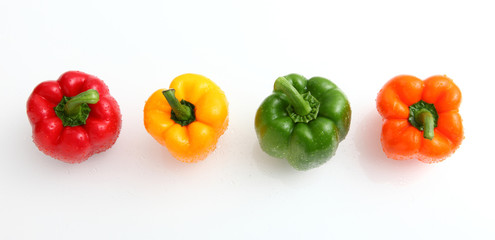 PEPPER 4 COLORS