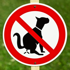 No dogs