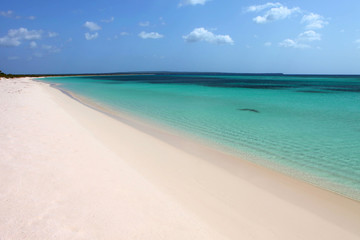 WHITE SAND BEACH