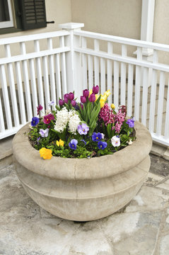 Stone planter with spring flowers