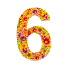 flowers number six