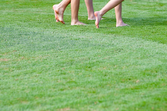 walk on the field 2