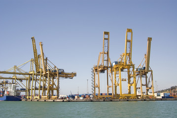 Obraz premium Cranes