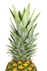 pineapple, isolated on white background