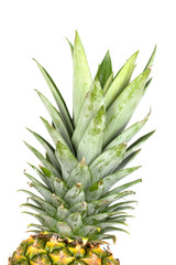 pineapple, isolated on white background