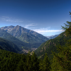 Montagne panorama e foresta