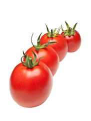 tomatoes in row