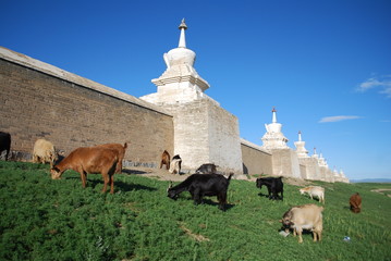 Monastere d'Erdenet Zuu et ses 108 stupas, Mongolie