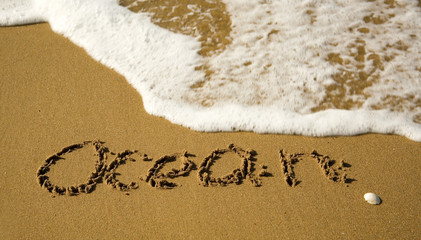Fototapeta premium Word Ocean written on the sand