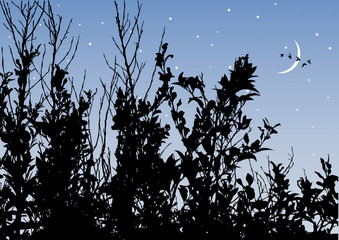 tree silhouette