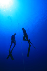 Freedivers