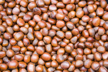 Chestnut