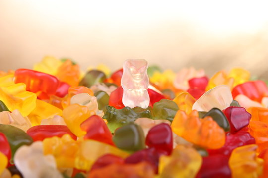 gummib&auml;rchen (close up)