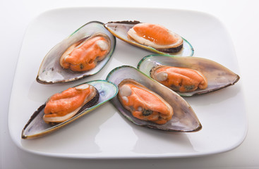Green lip mussels