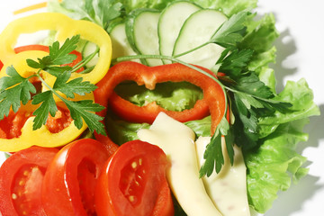dish with a salad of cheese, peppers, tomatoes, cucumber