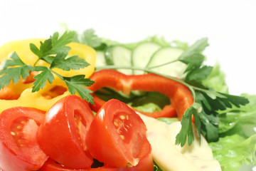 dish with a salad of cheese, peppers, tomatoes, cucumber