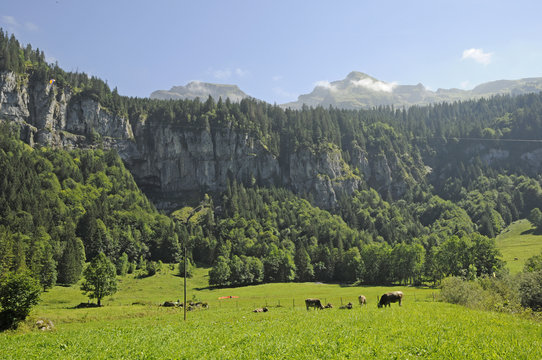 Blick von Weglosen zu Druesberg und Forstberg