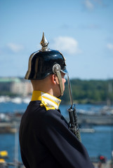 Royal guard on duty