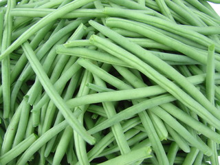 haricot vert