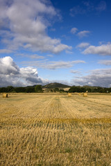 paisaje del campo de cosecha