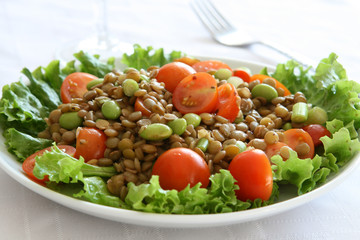 Italian Lentil Salad