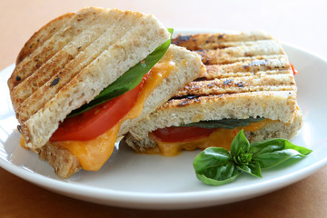 Grilled Tomato Basil and Cheese Panini