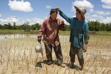 Asiaten am Reisfeld, Asien
