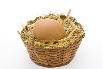 Egg 5