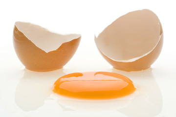 Egg 4