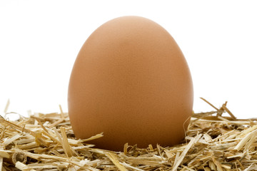 Egg 3