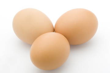 Egg 1