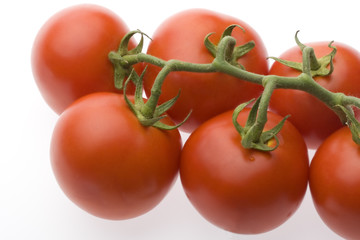 Tomato 4
