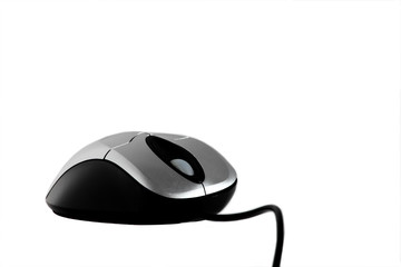The computer mouse