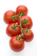 Tomato 1