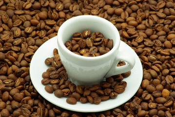 Fototapeta premium Coffee beans