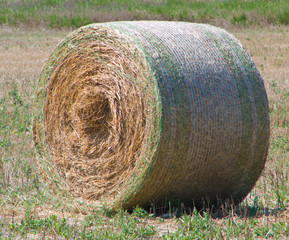 Haystack. Basilicata.