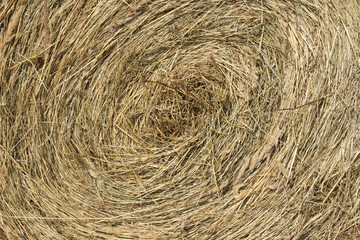 The dry grass combined on storage